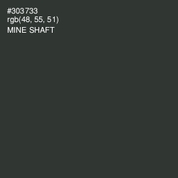 #303733 - Mine Shaft Color Image